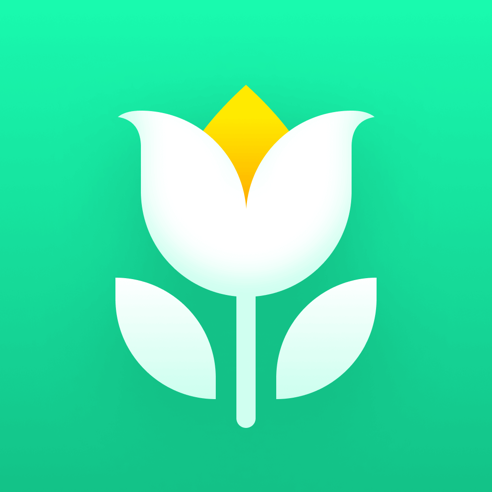 ‎Plant Parent - Der Pflegeguide